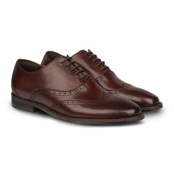 Damian Wingtip Brown